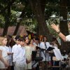 Festival medieval 2023